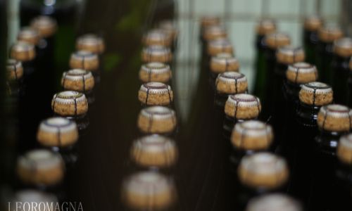 Champagne